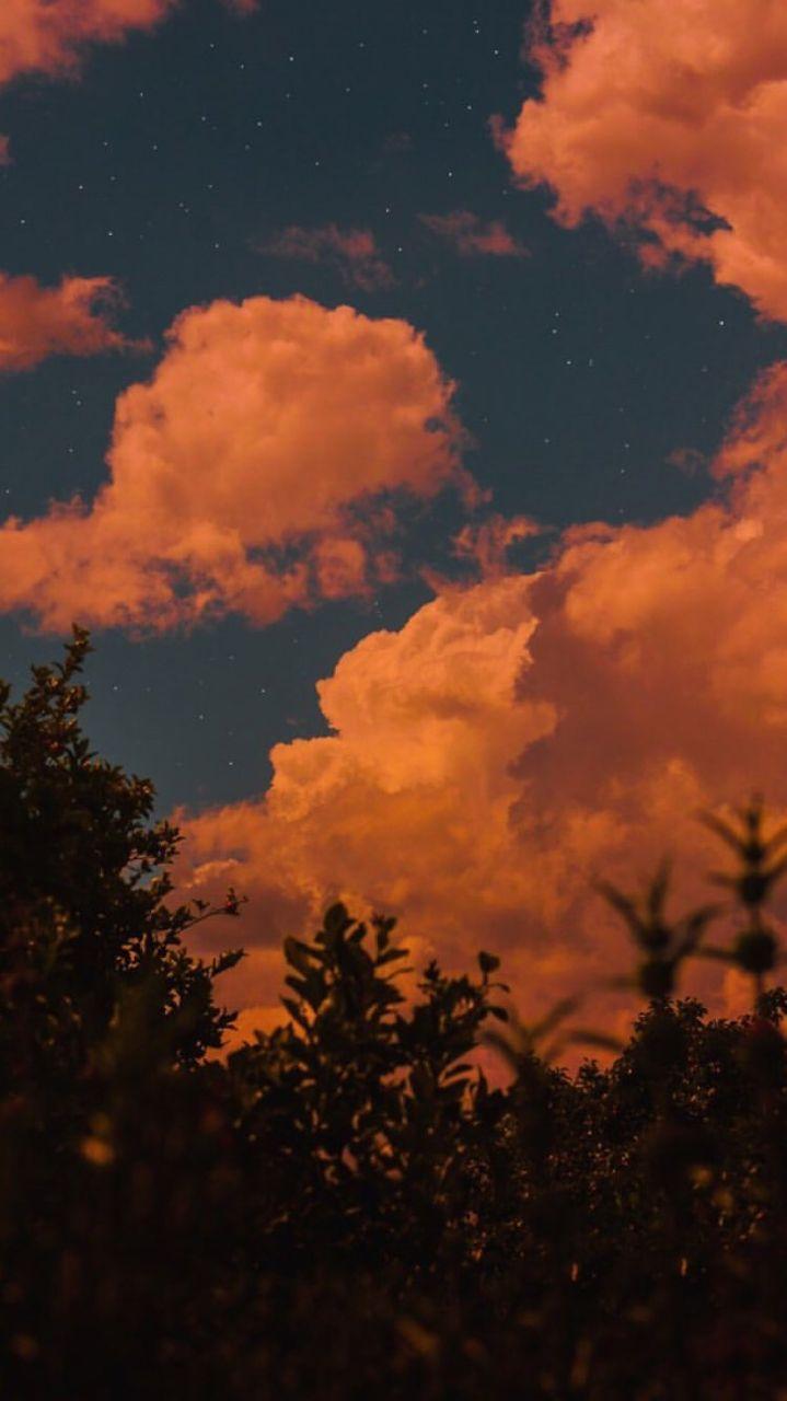 719x1280 Aesthetic Sky Trees Clouds Yellow Pink Orange Wallpaper. Sky aesthetic, Aesthetic background, Aesthetic pastel wallpaper