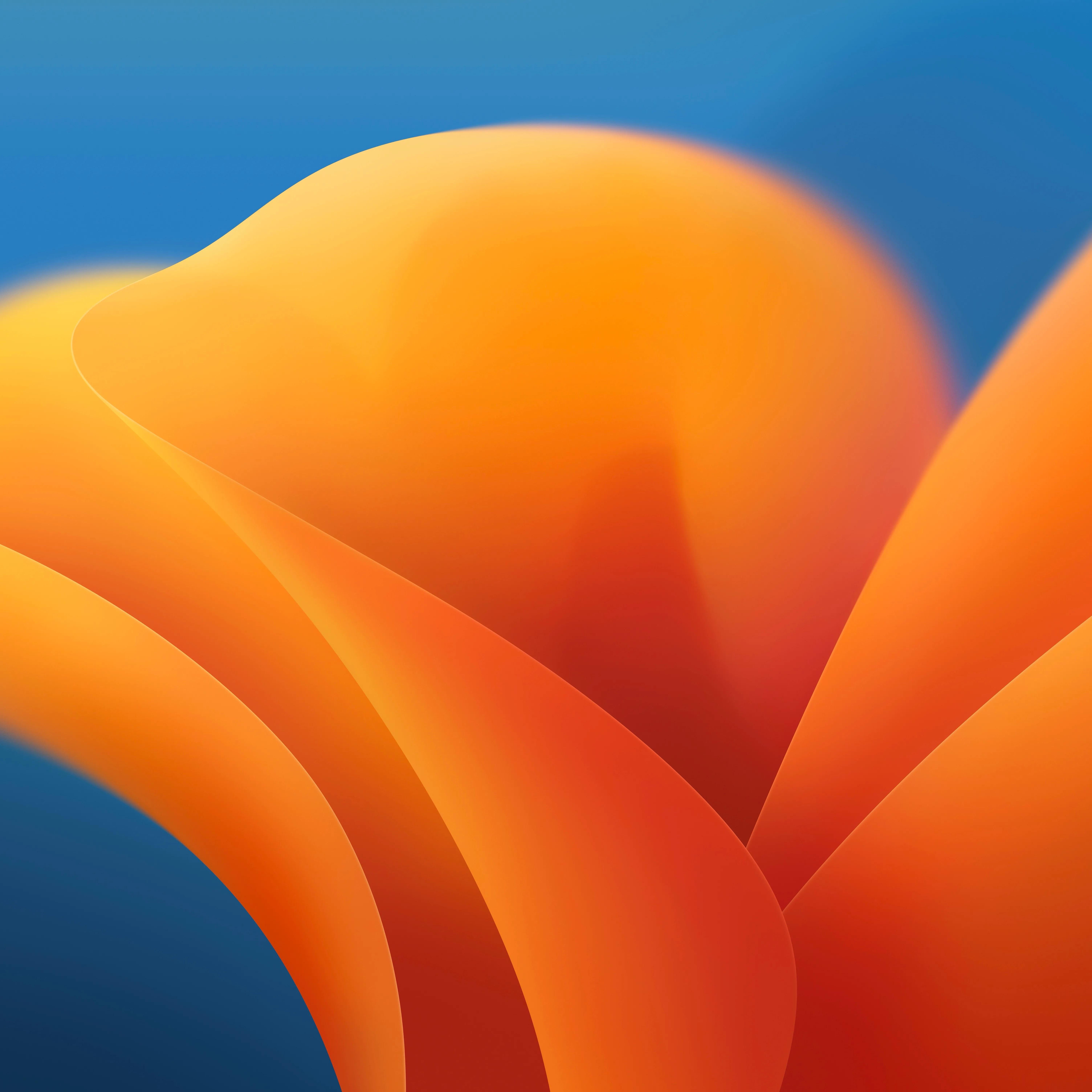 6016x6016 Download the Official MacOS Ventura Wallpaper