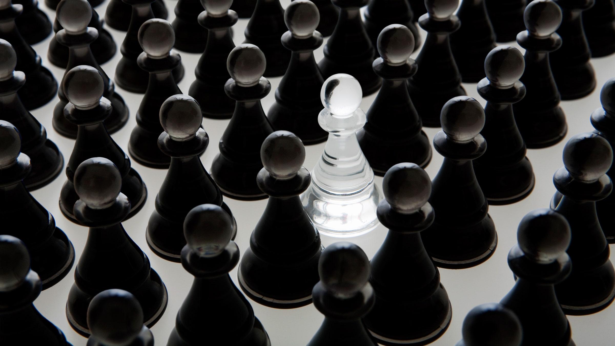 2400x1350 A Bird Feed Seller Beat A Chess Master Online. Then It Got Ugly