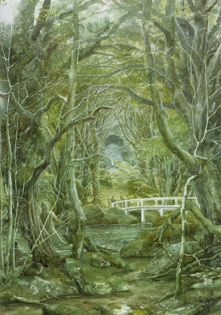 843x1200 Woodland Realm. The One Wiki to Rule Them All