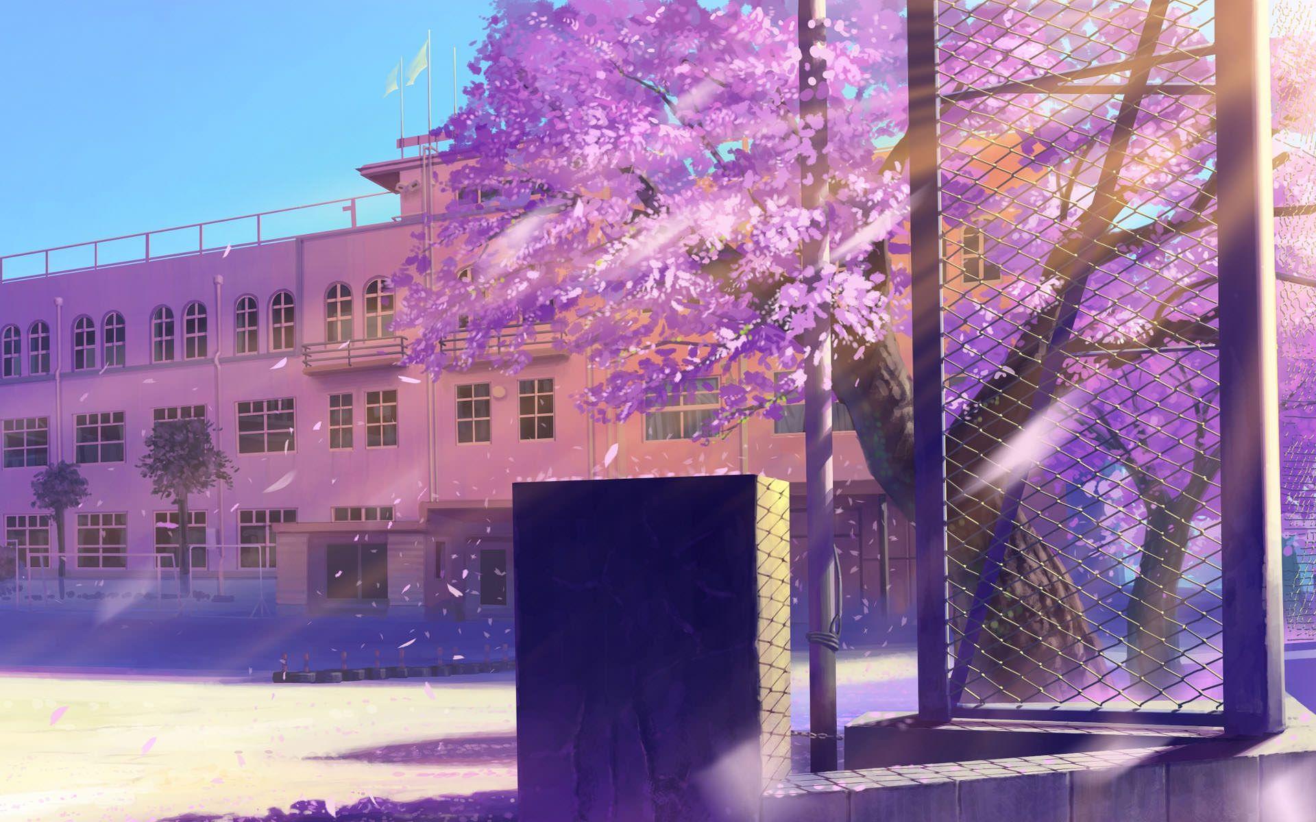 School Anime Wallpapers - Top Free School Anime Backgrounds -  WallpaperAccess