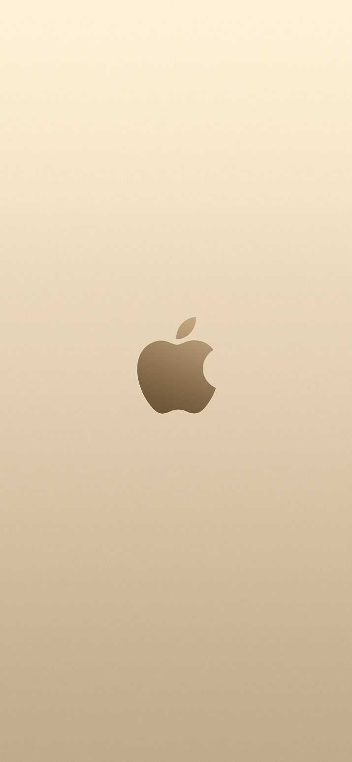 Gold iPhone 13 Wallpapers - Top Free Gold iPhone 13 Backgrounds