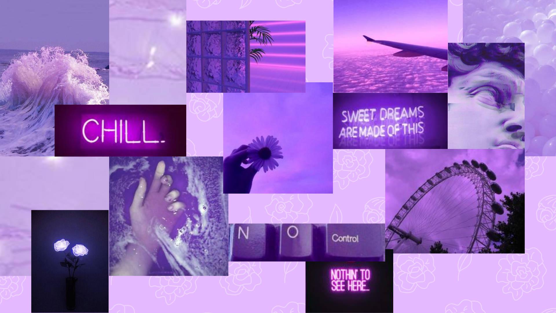 1920x1080 Download Lavender Aesthetic Collage Wallpaper