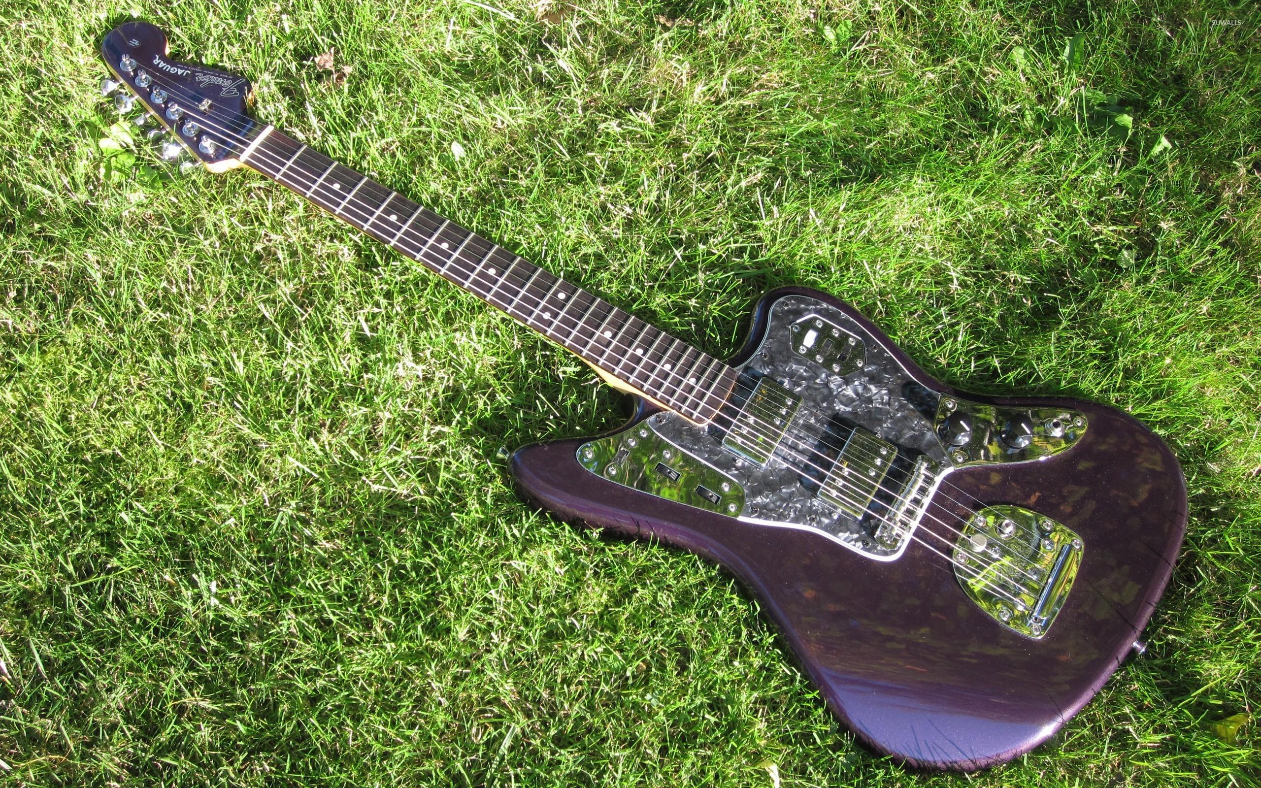 2560x1600 Guitar on the grass wallpaper wallpaper