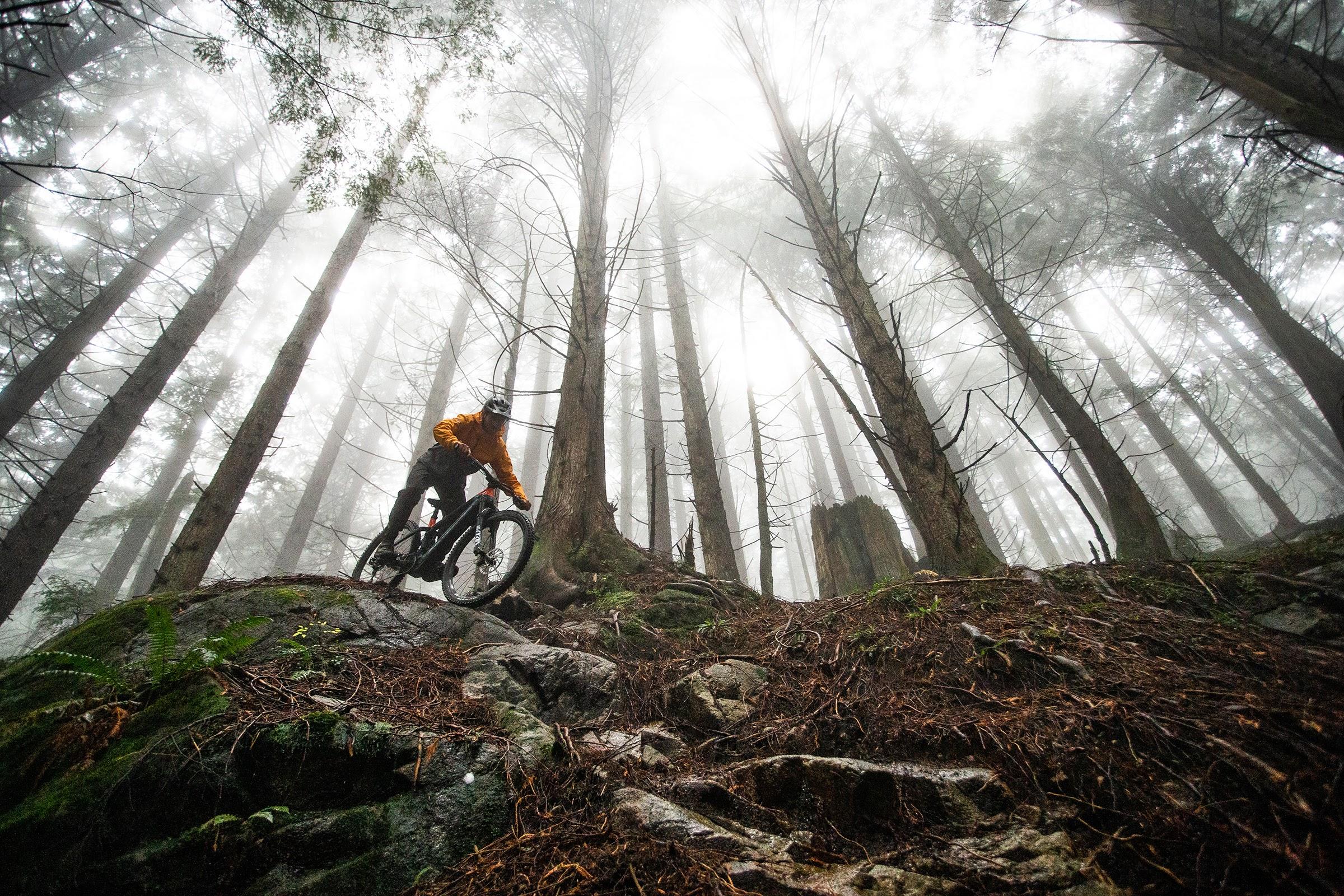 2400x1600 Norco Launches New Sight VLT E MTB