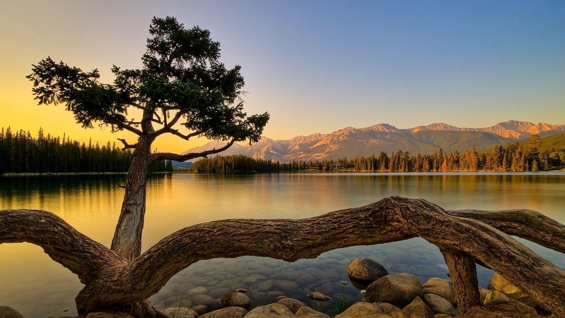 50 Beautiful Nature Wallpapers for your Desktop Mobile and Tablet  HD