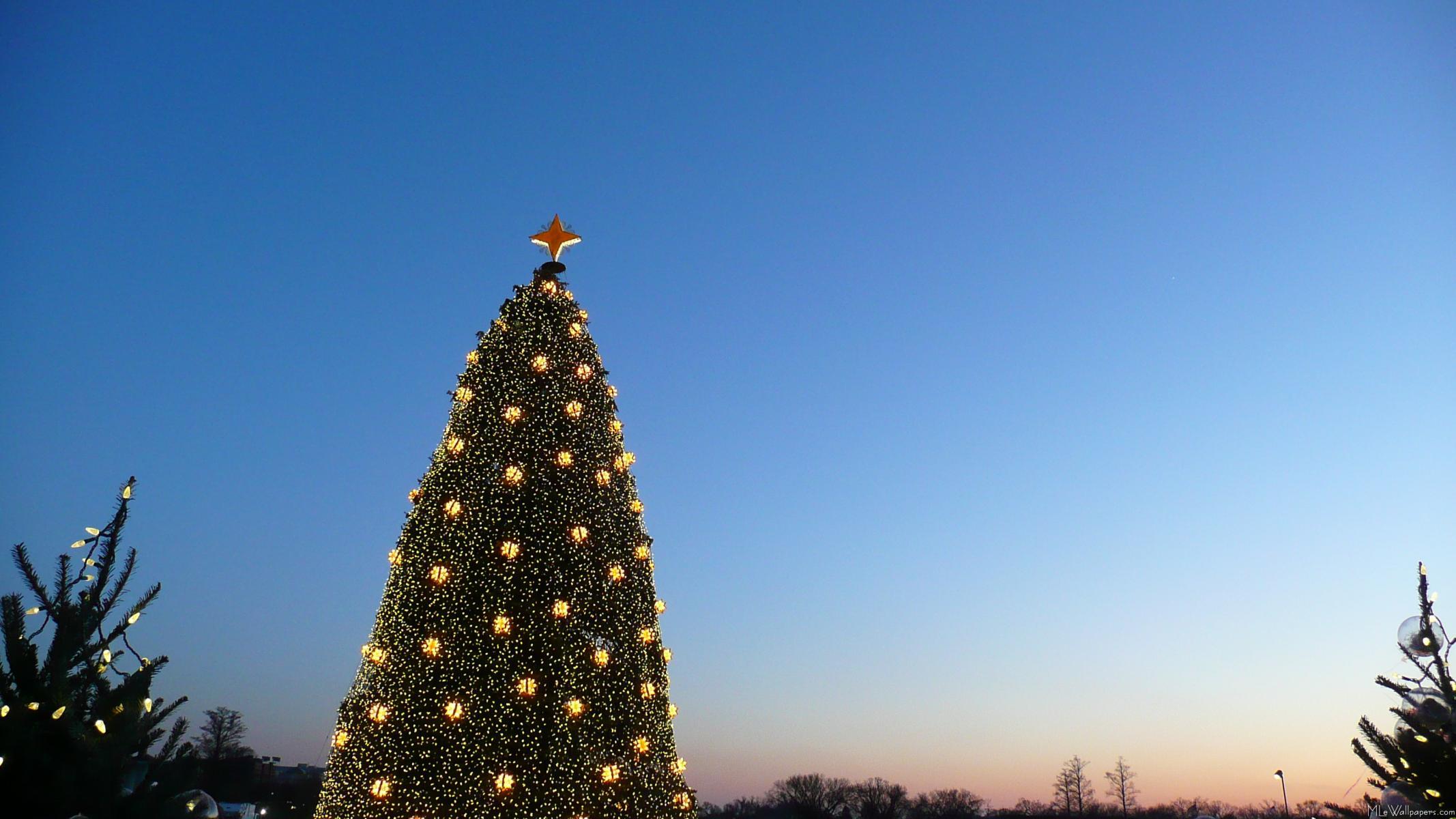 2134x1200 MLeWallpaper.com and Little Christmas Trees I