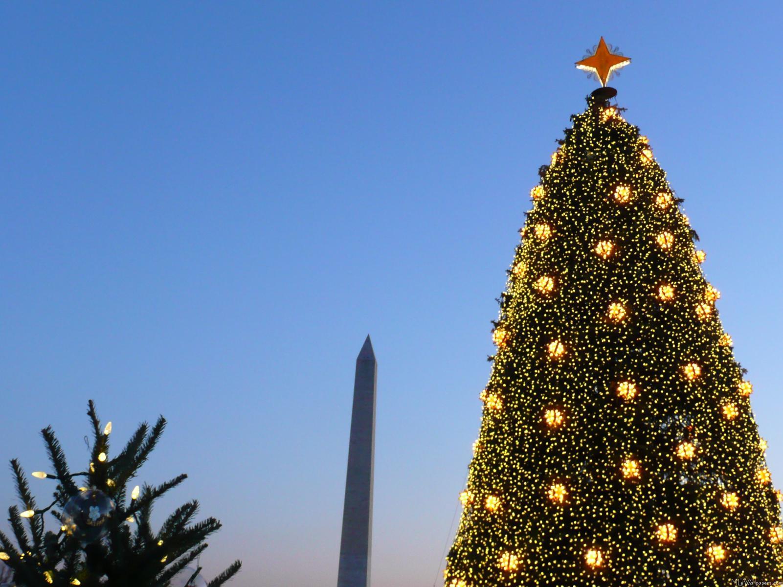 Big Christmas Tree Wallpapers Top Free Big Christmas Tree Backgrounds