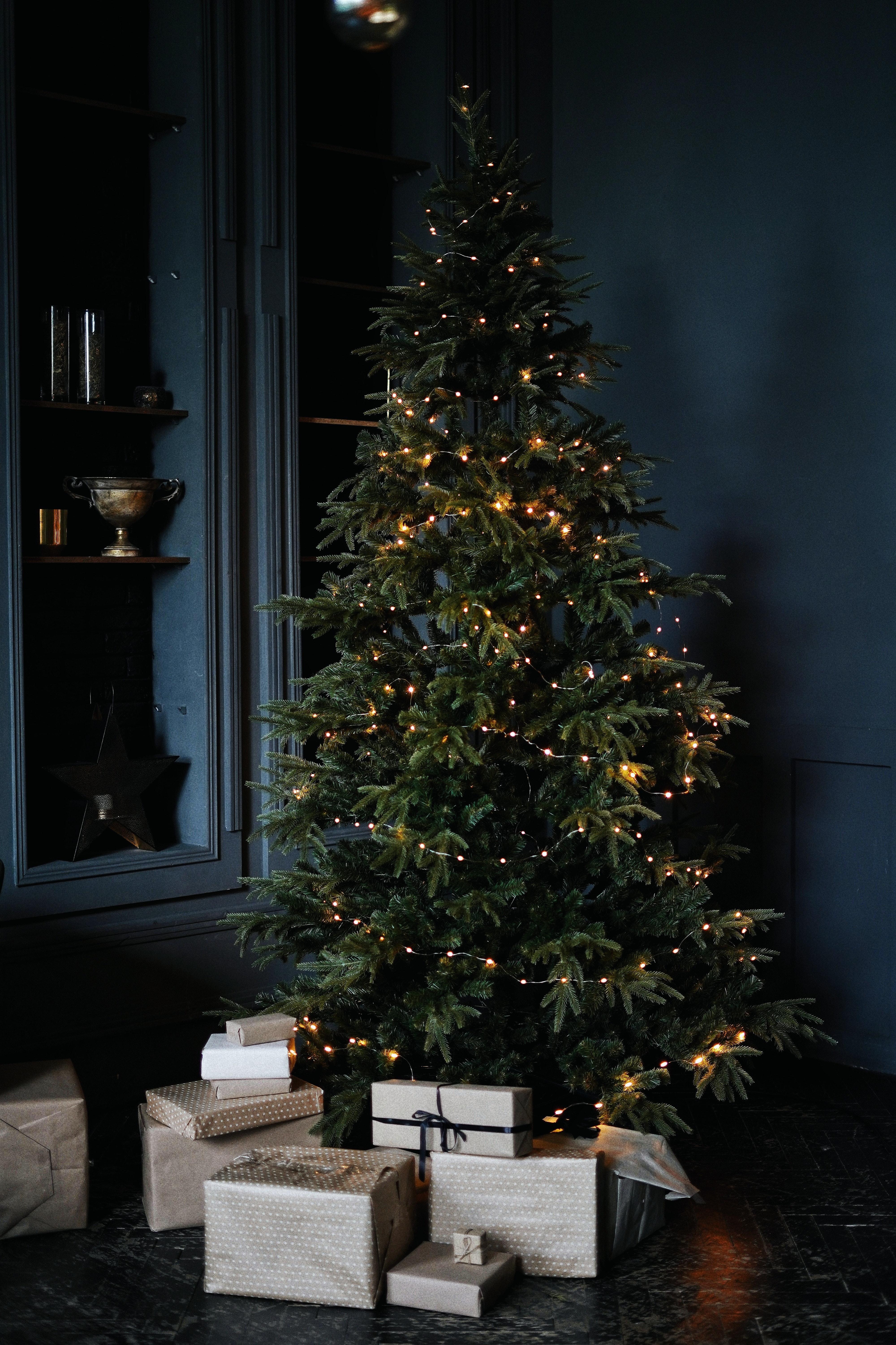 4000x6000 Christmas Tree Wallpaper Photo, Download Free Christmas Tree Wallpaper & HD Image