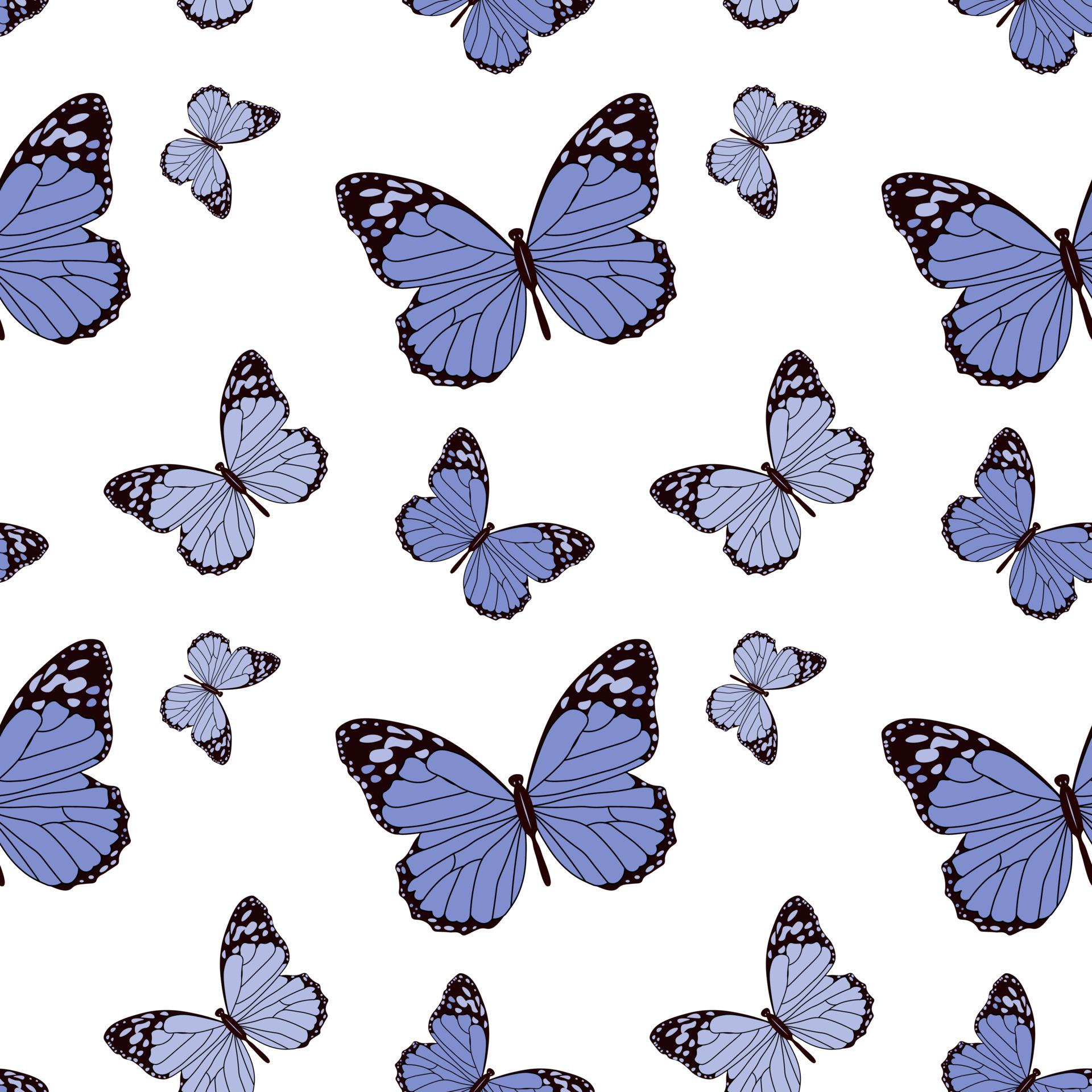 1920x1920 Seamless pattern drawn blue with black contour butterflies on a white background. Print, textile, bedroom decor, wallpaper