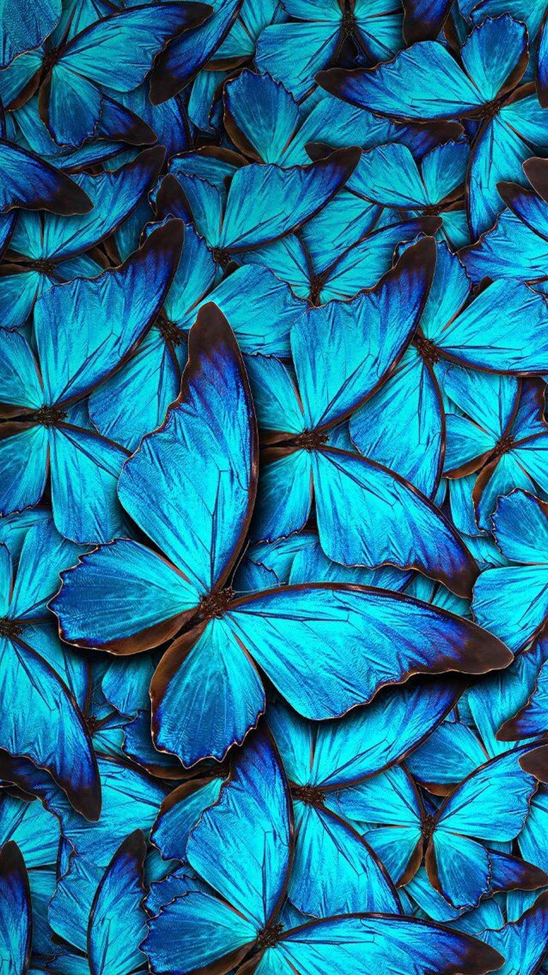 1080x1920 Blue Butterfly Wallpaper