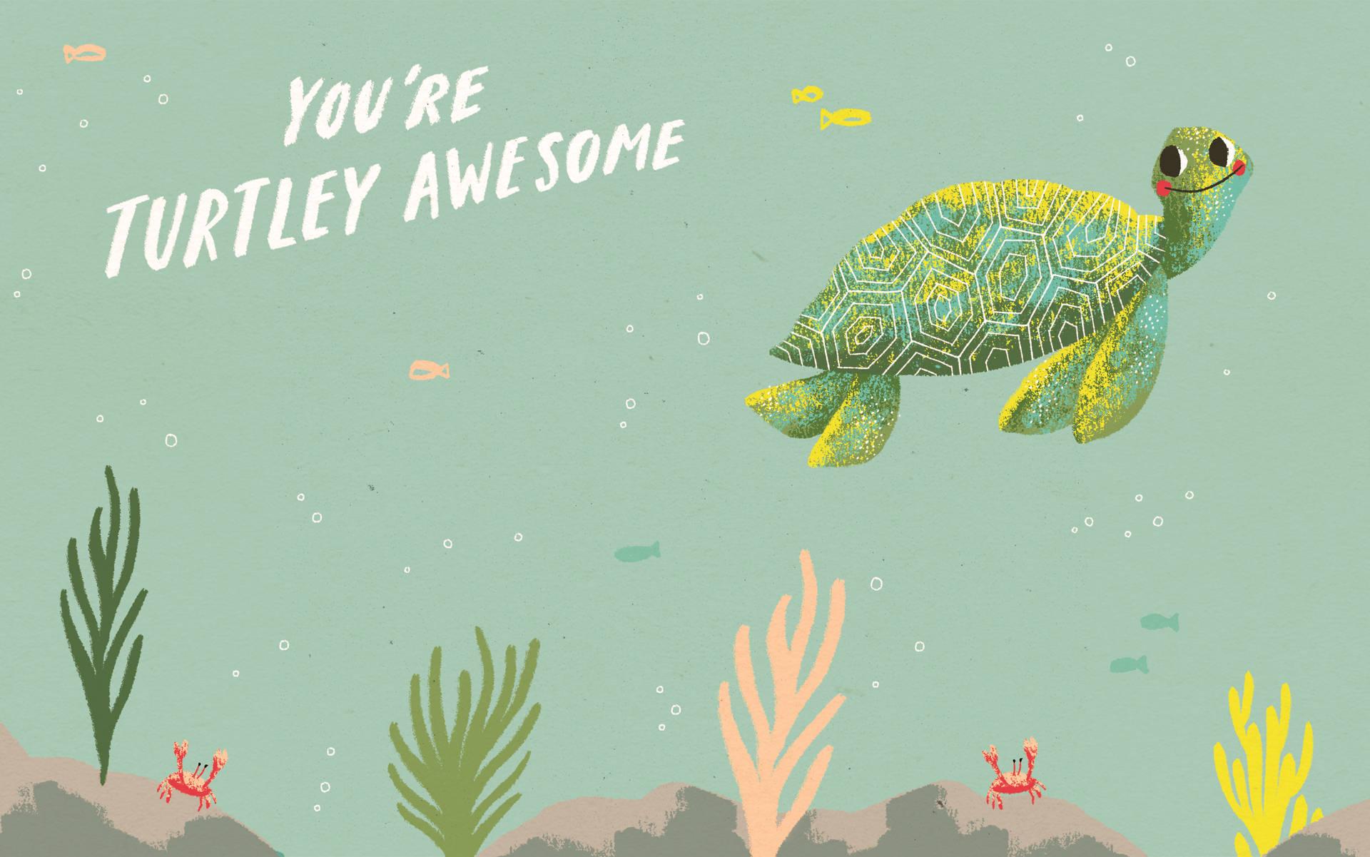 1920x1201 Download Awesome Cute Green Turtle Wallpaper