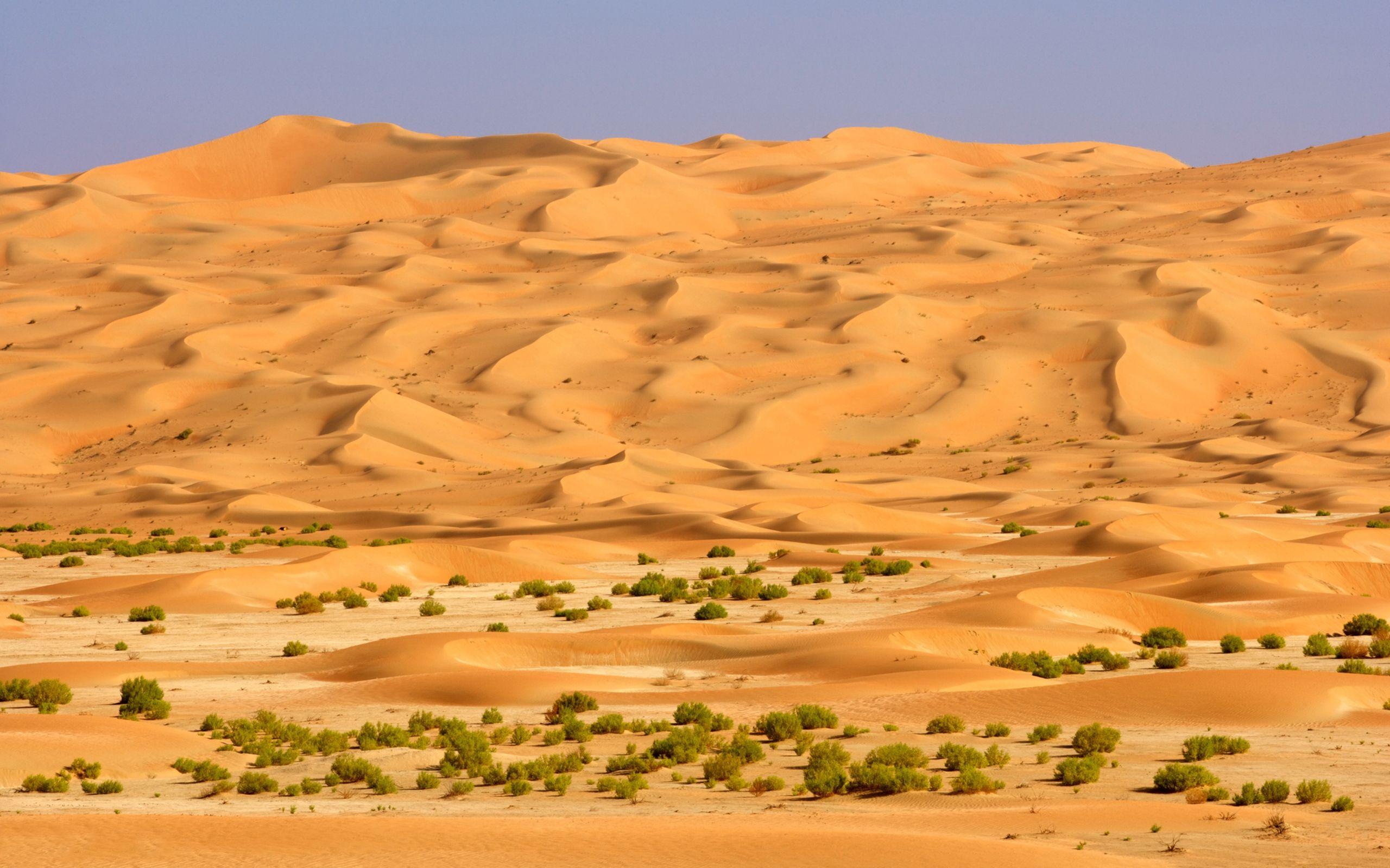 Arabian Desert Wallpapers Top Free Arabian Desert Backgrounds 40D
