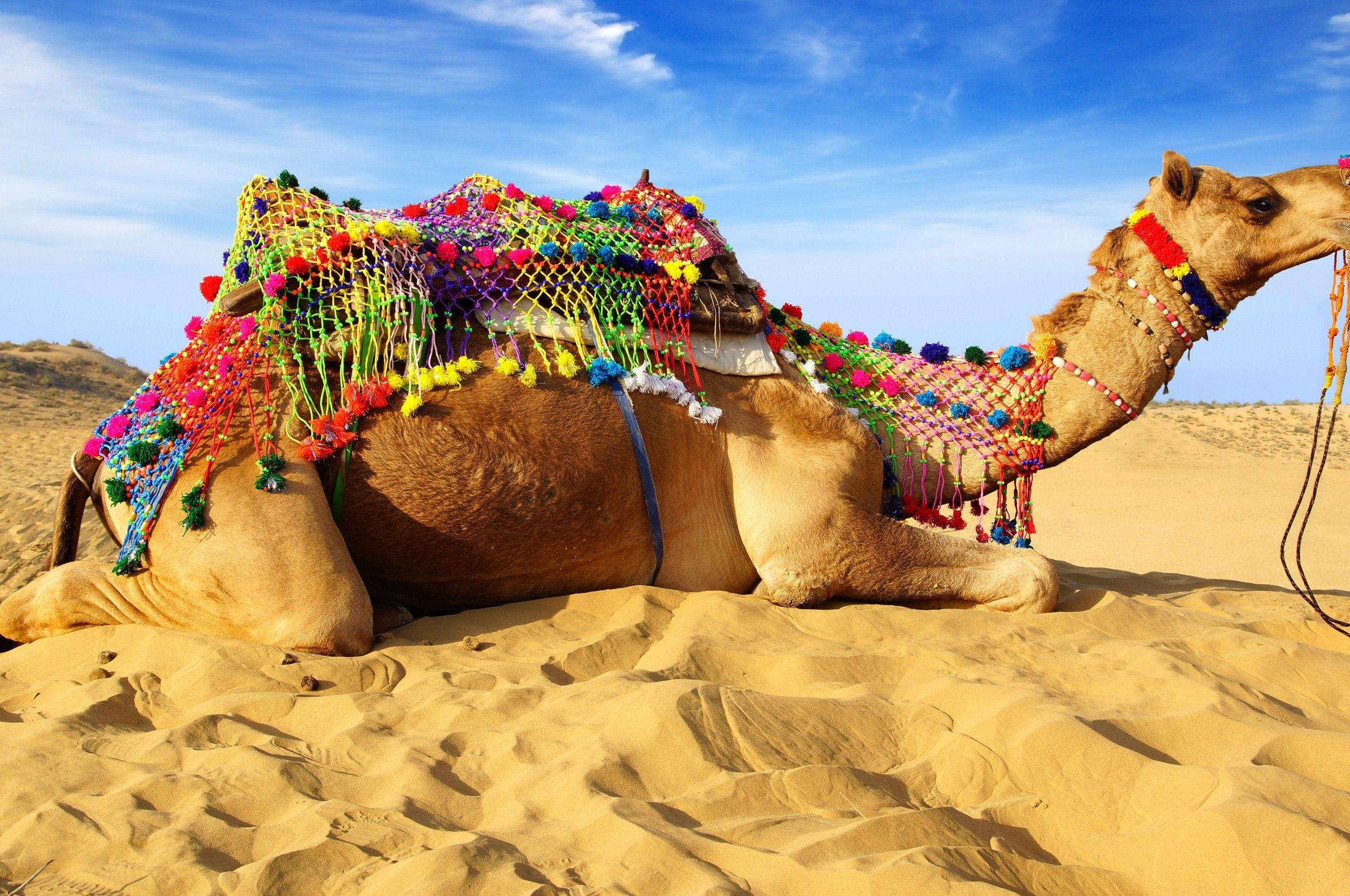 Arabian Desert Wallpapers Top Free Arabian Desert Backgrounds Wallpaperaccess 3161