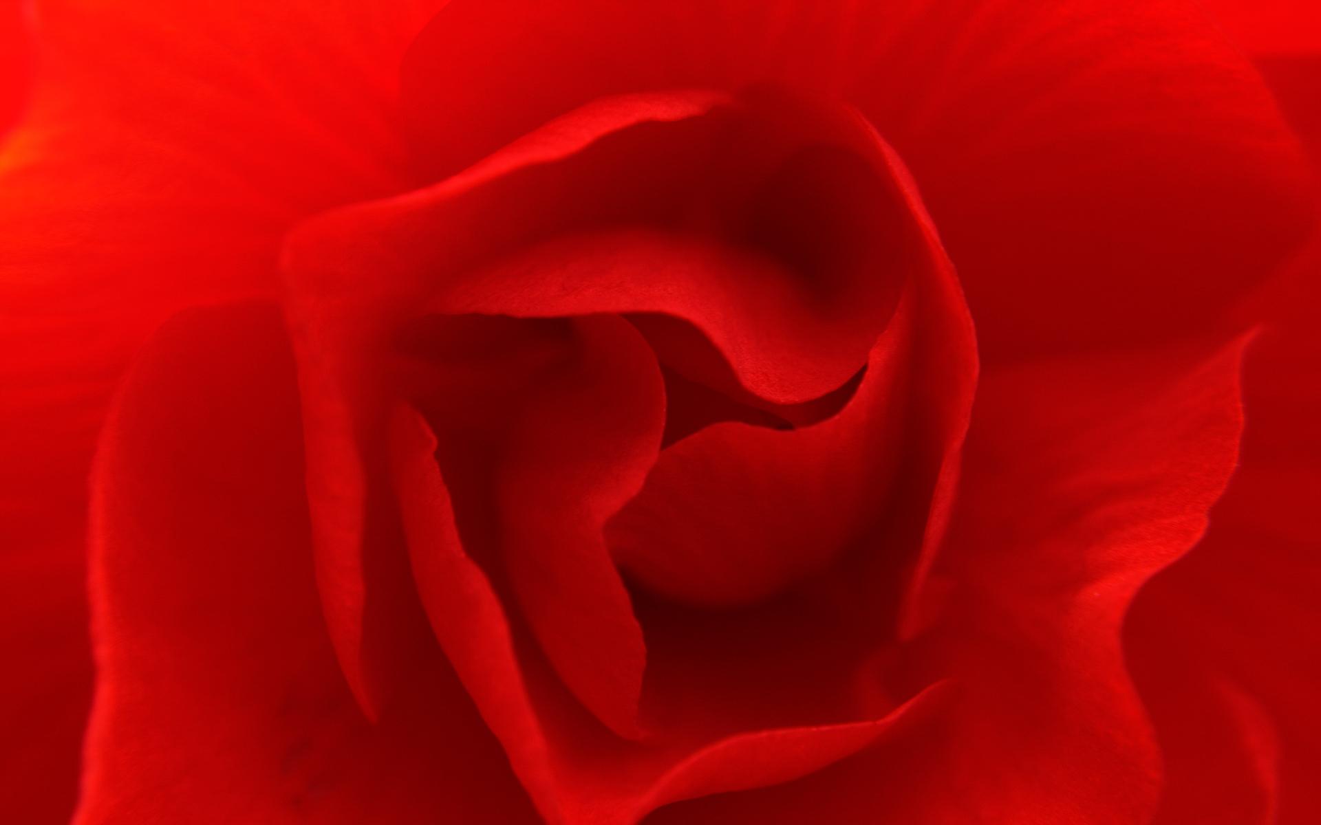 1920x1200 Crisp Red Wallpaper For Desktop, Laptop and Tablet Devices