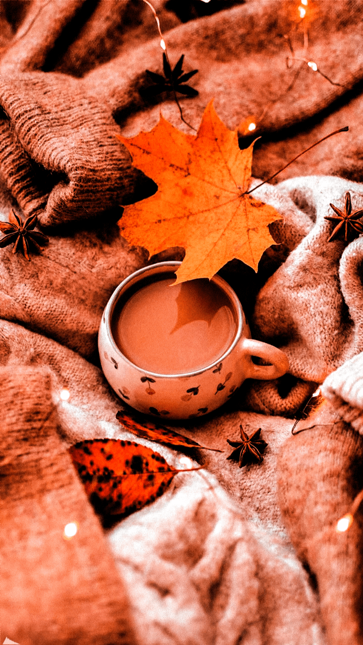 720x1280 Autumn Vibes Wallpaper