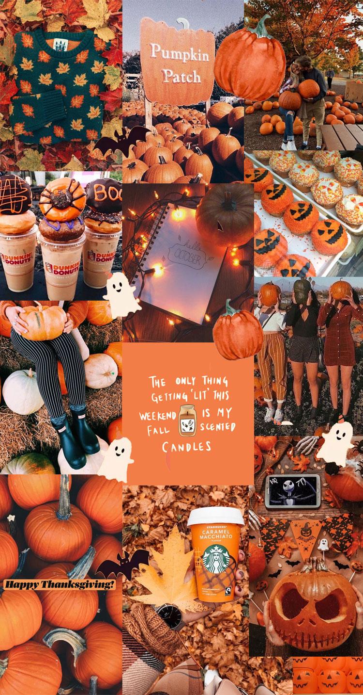 Fall Vibes Wallpapers - Top Free Fall Vibes Backgrounds - WallpaperAccess