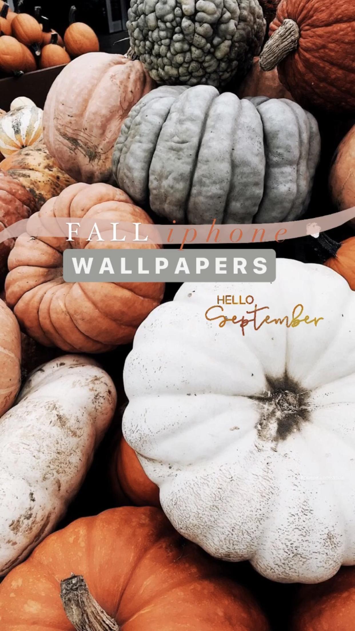 Fall Vibes Wallpapers - Top Free Fall Vibes Backgrounds - WallpaperAccess