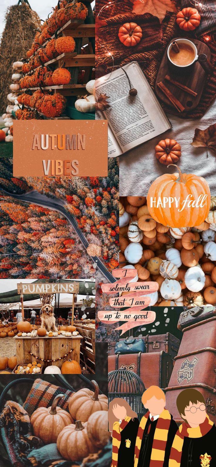 Pin on fall vibes HD wallpapers  Pxfuel