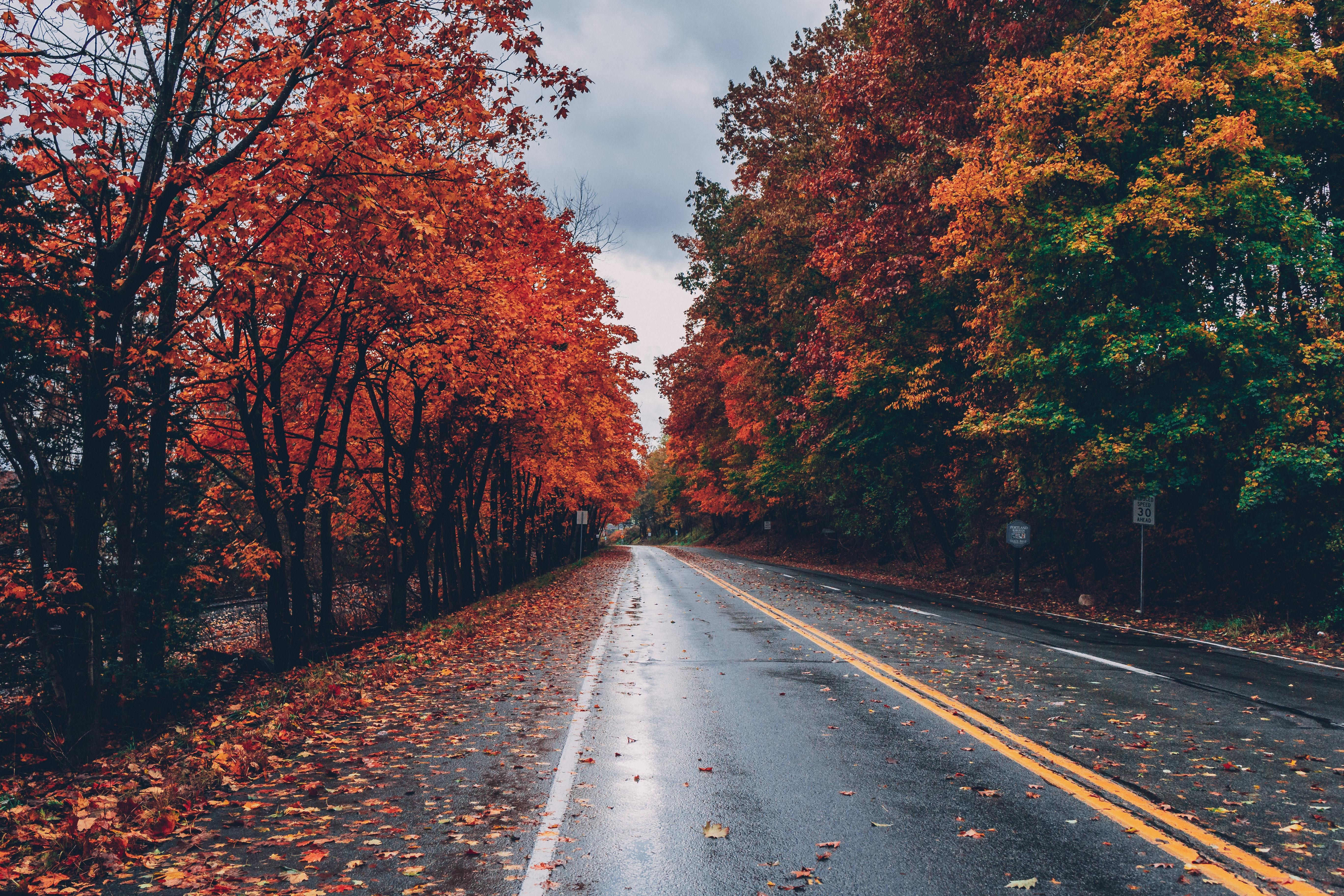 5472x3648 Autumn Wallpaper Photo, Download Free Autumn Wallpaper & HD Image
