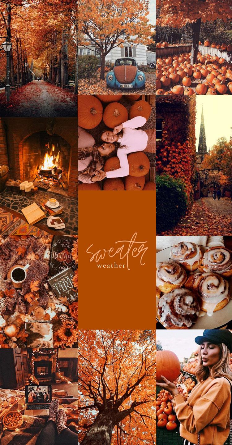 Fall Vibes Wallpapers - Top Free Fall Vibes Backgrounds - WallpaperAccess