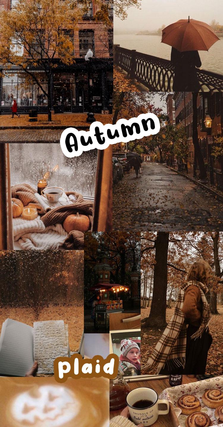 750x1433 Autumn Collage Wallpaper : Autumn + Plaid. Colour + Mood + Style Inspiration