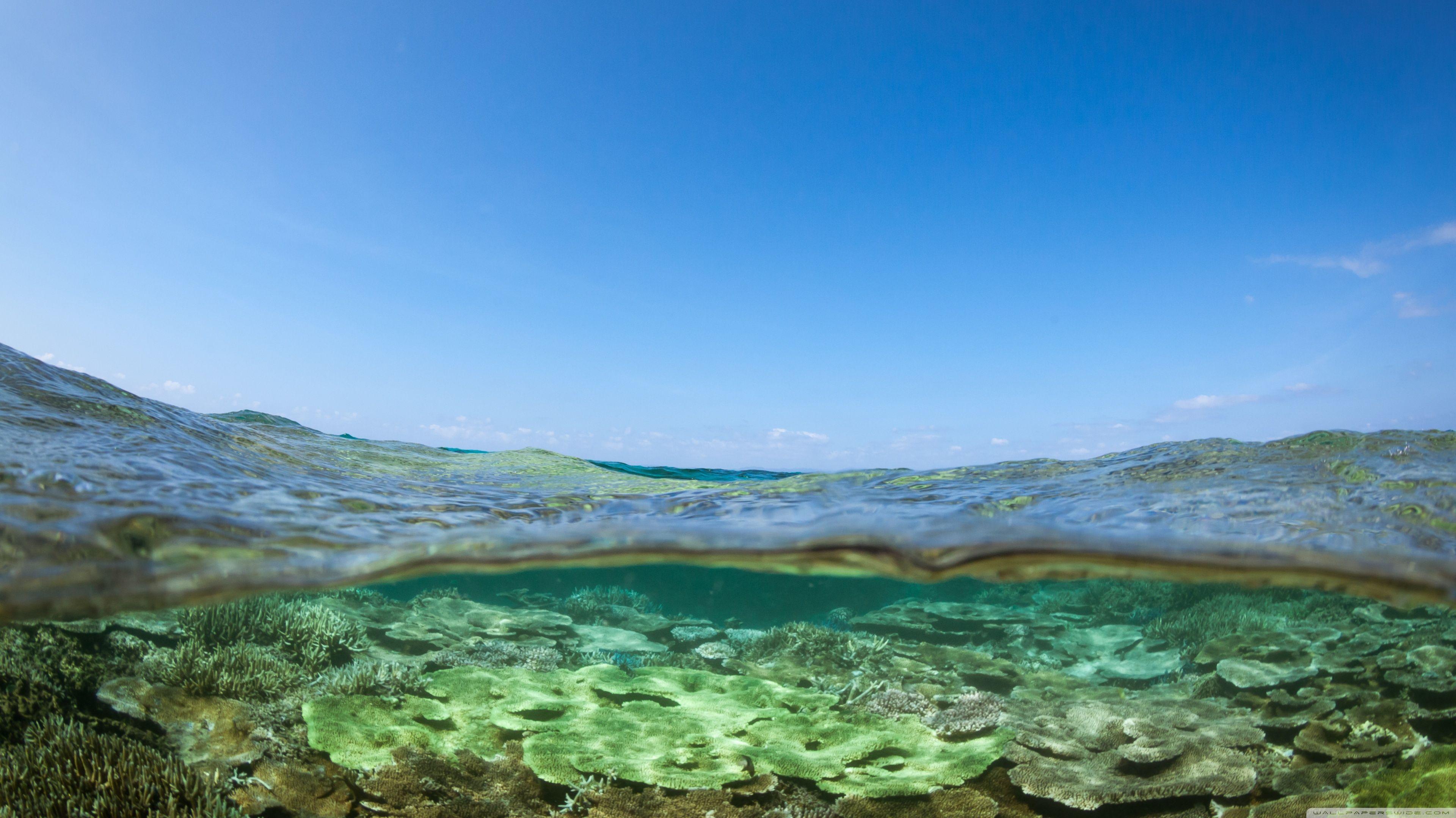 3840x2160 Half Underwater Shot ❤ 4K HD Desktop Wallpaper for 4K Ultra HD TV