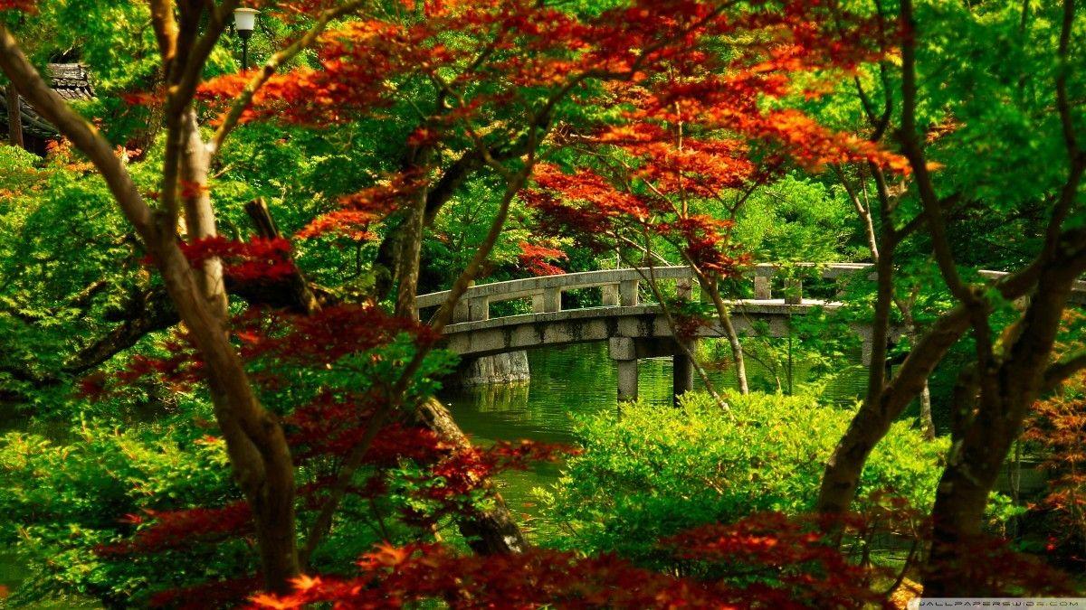 1200x675 Zen Desktop Wallpaper Best Of Zen Desktop Wallpaper Also Trends