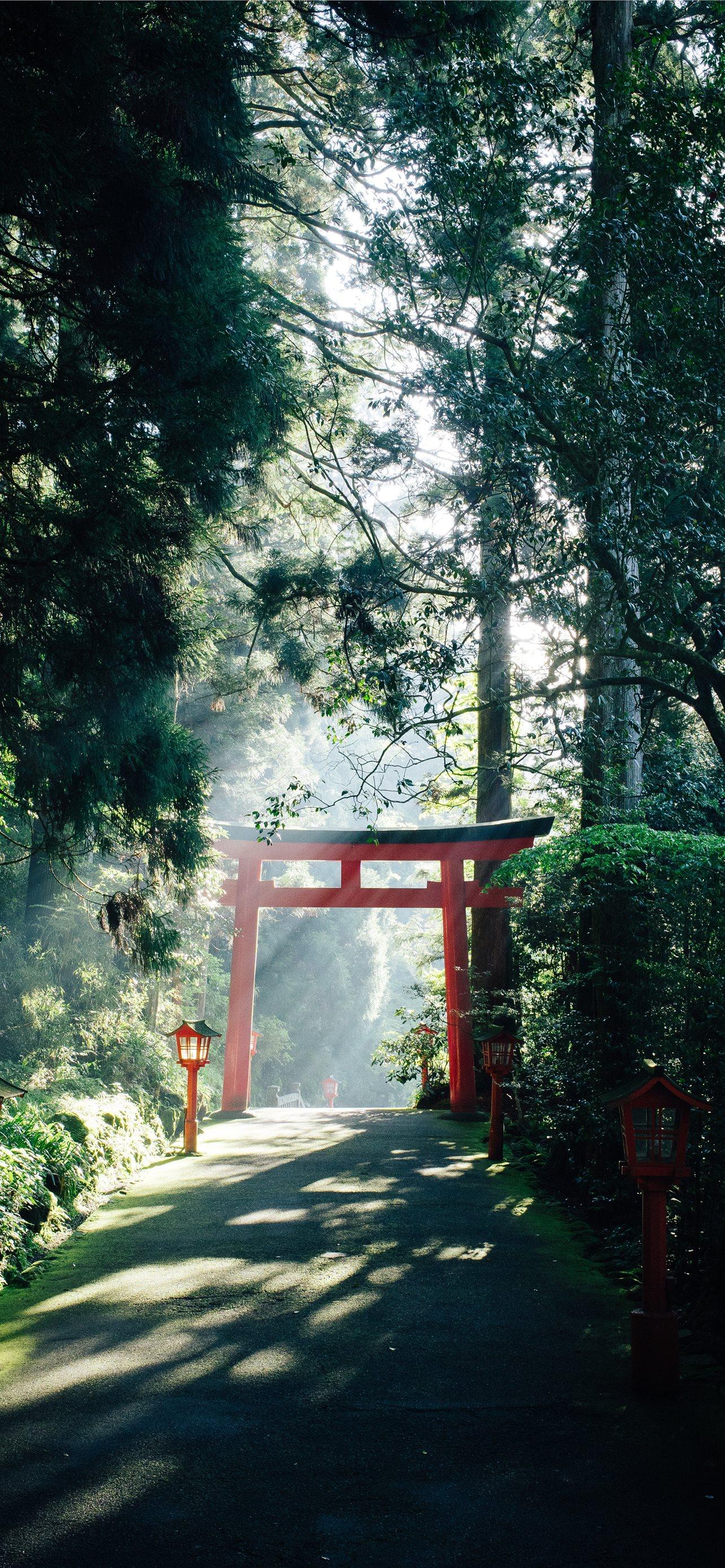 1284x2778 Best Japan iPhone HD Wallpaper