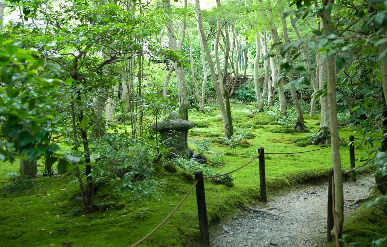 1332x850 Wallpaper summer, trees, Japan, garden, path image for desktop, section природа