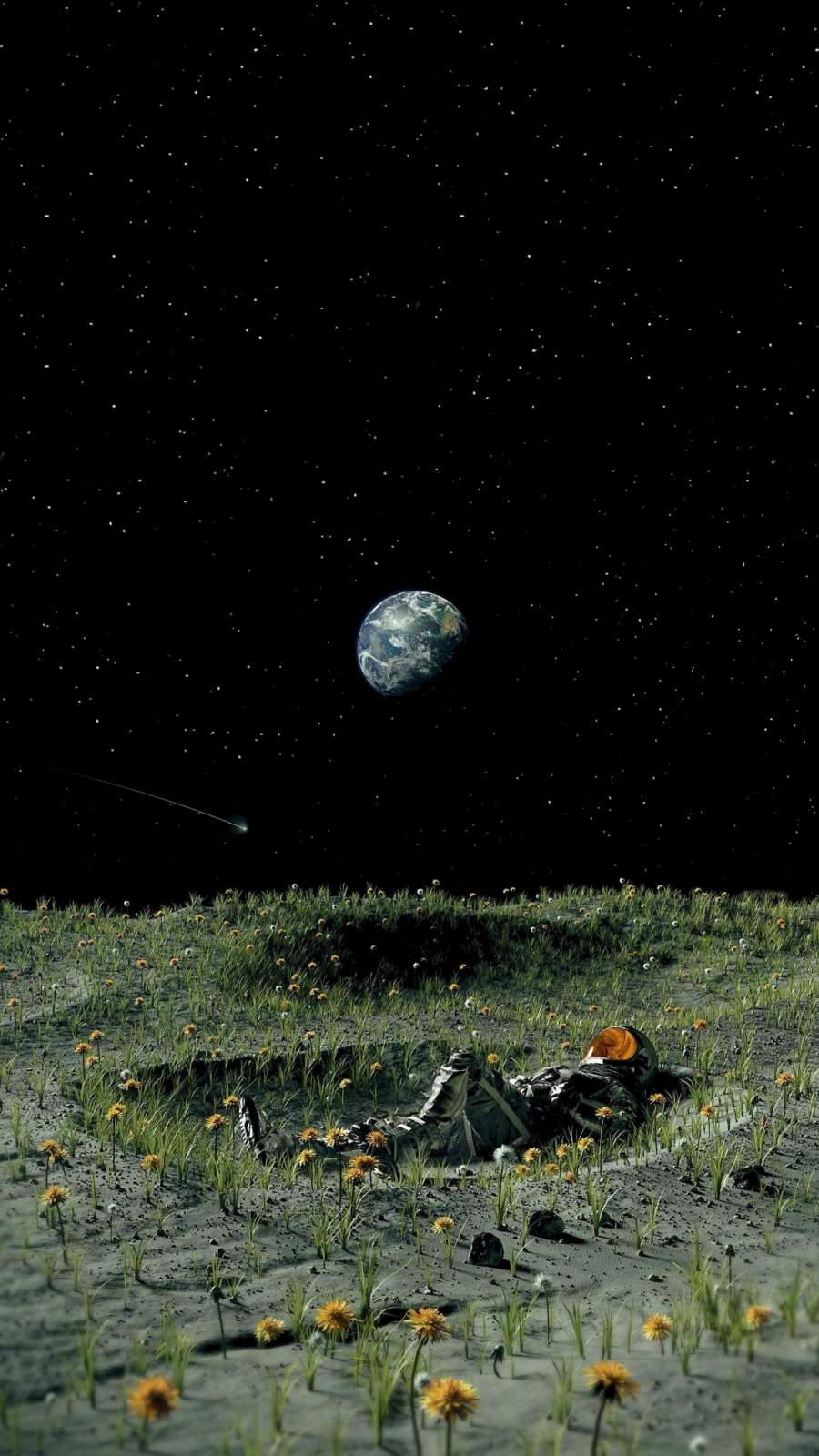 900x1600 Moon Garden Astronaut Wallpaper : iPhone Wallpaper