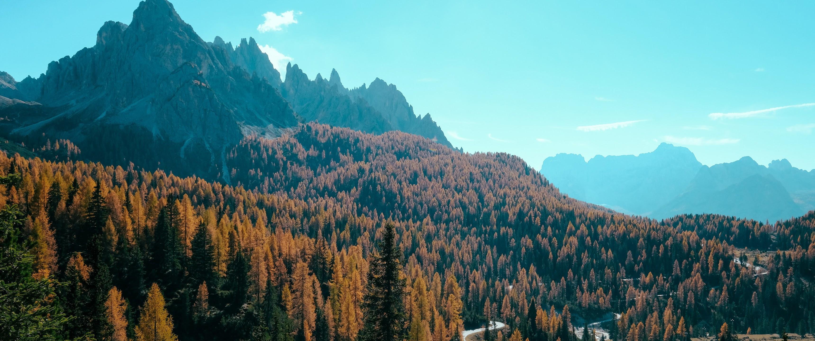 3440x1440 Forest Autumn Mountain Forest 8K Wallpaper