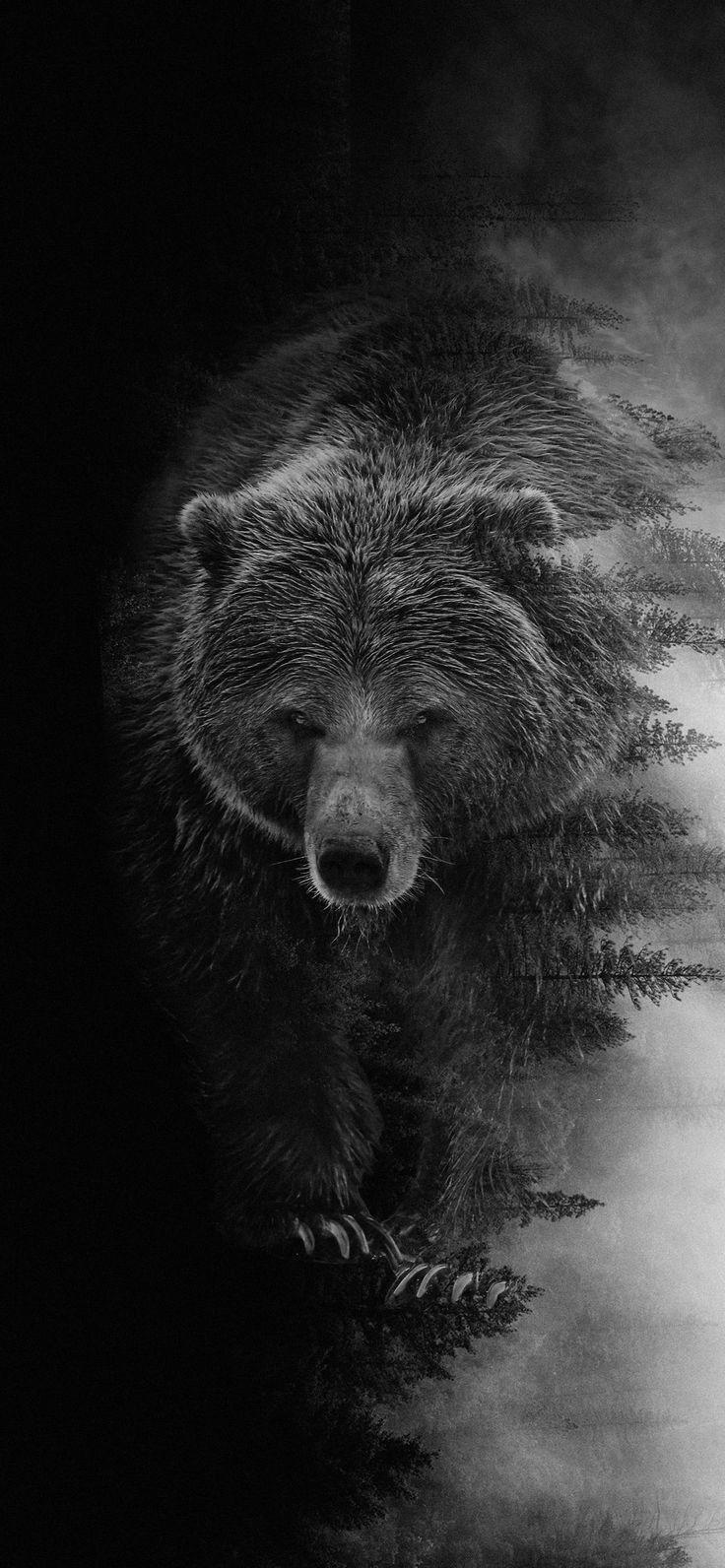 736x1592 cute animals. Bear tattoos, Animal wallpaper, Egyptian tattoo