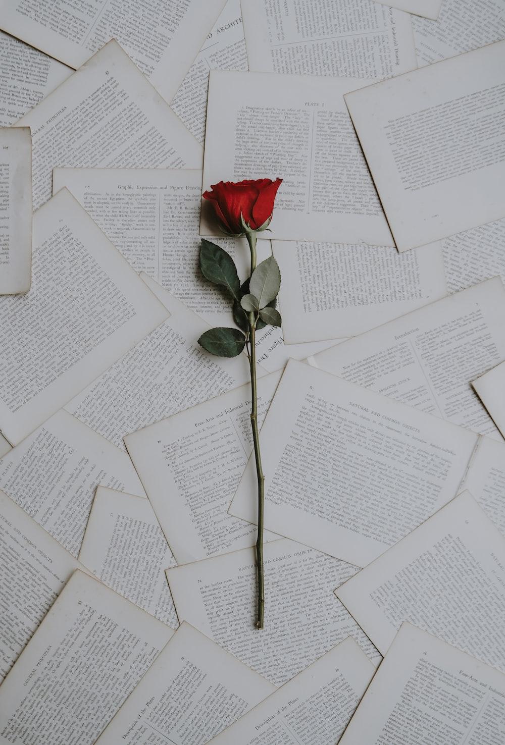 1000x1476 Flower And Book Picture. Download Free Image