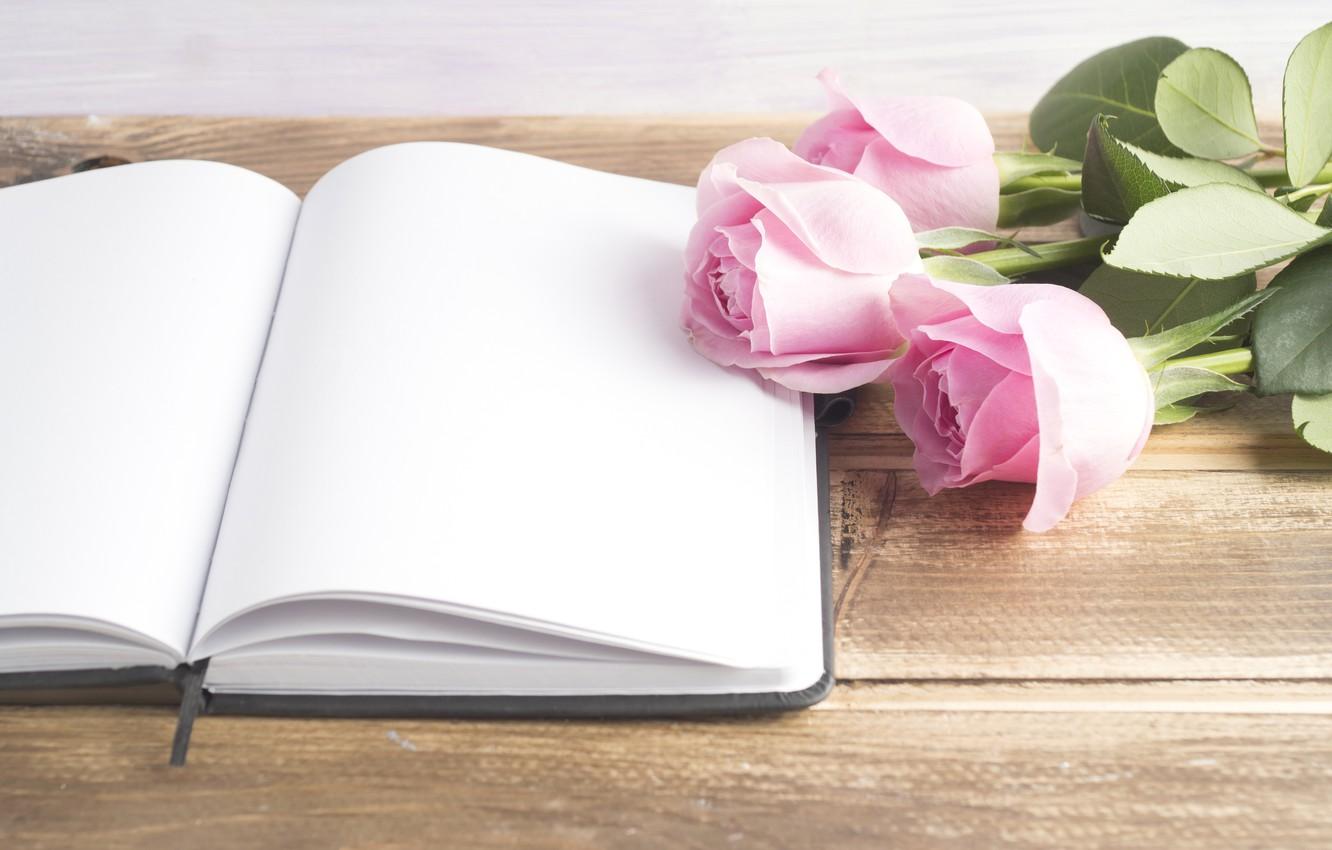 1332x850 Wallpaper roses, book, pink, buds, pink, flowers, book, roses image for desktop, section цветы