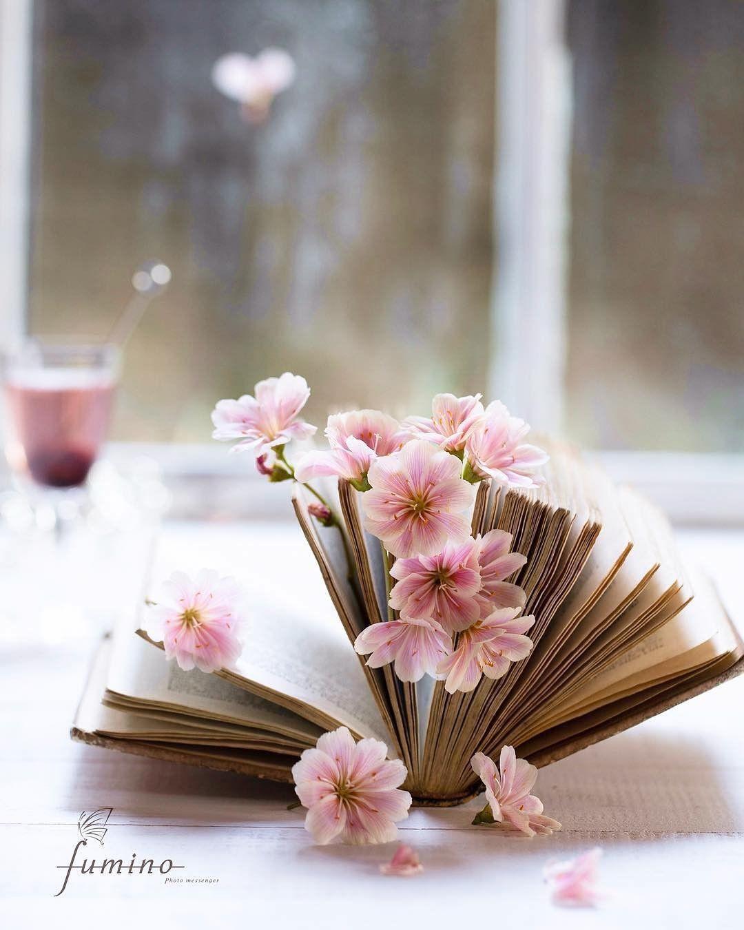 Flowers and Book Wallpapers - Top Free Flowers and Book Backgrounds ...