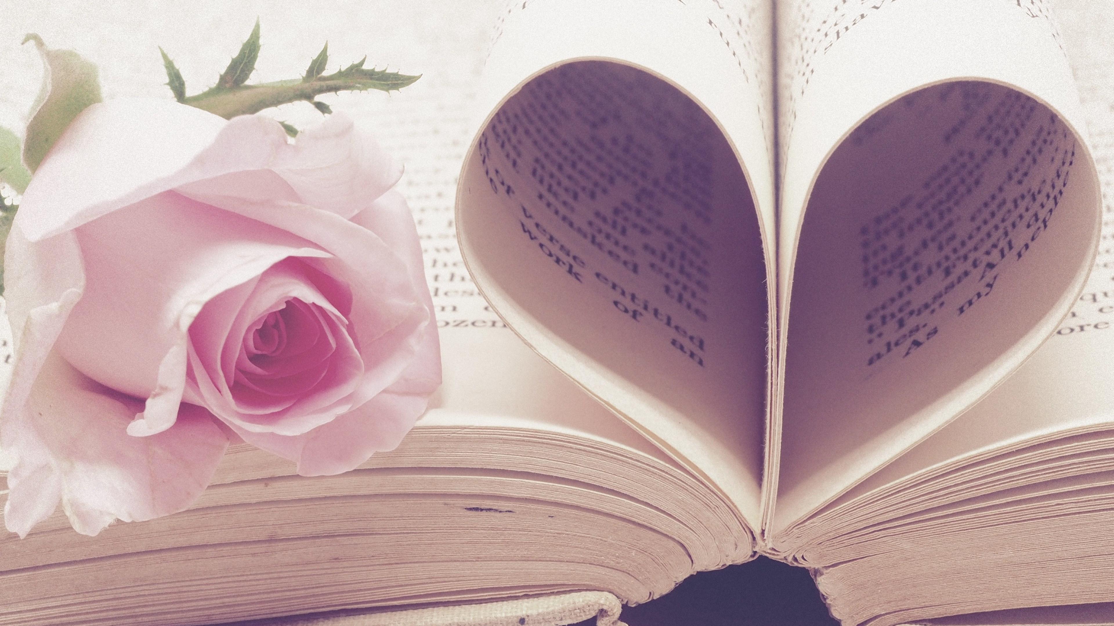 3840x2160 Download wallpaper: Rose flower and love book 3840x2160