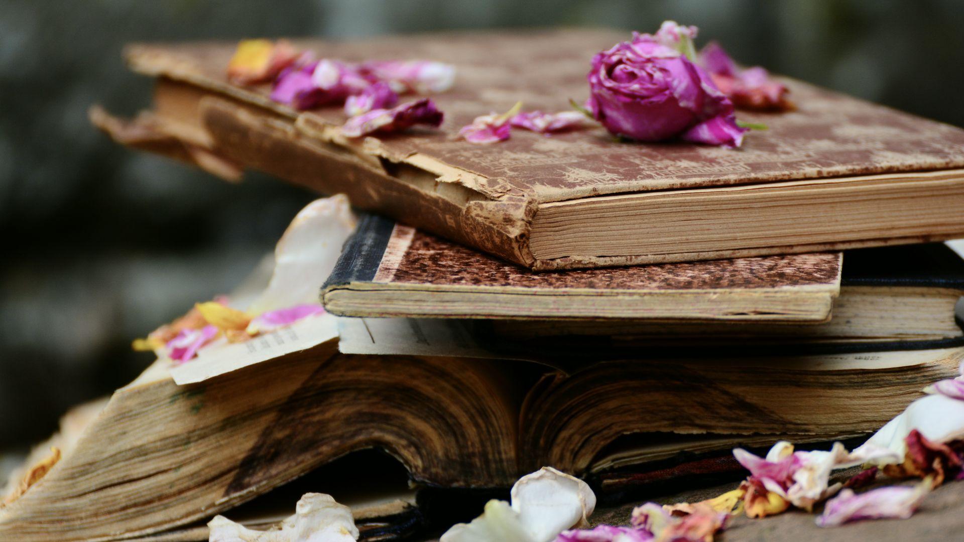 1920x1080 Desktop Wallpaper Old Books, Petals, Flowers, HD Image, Picture, Background, C669c0