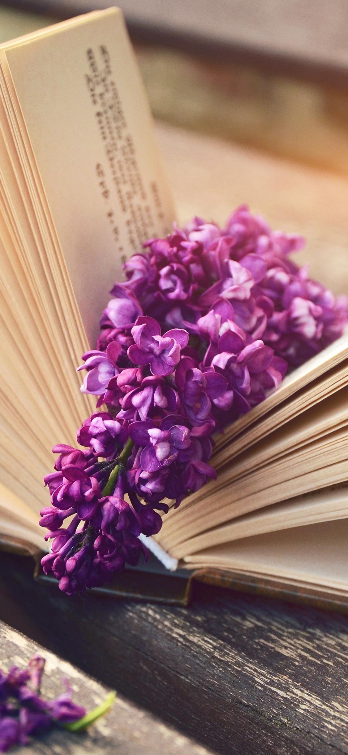 Flowers and Book Wallpapers Top Free Flowers and Book Backgrounds