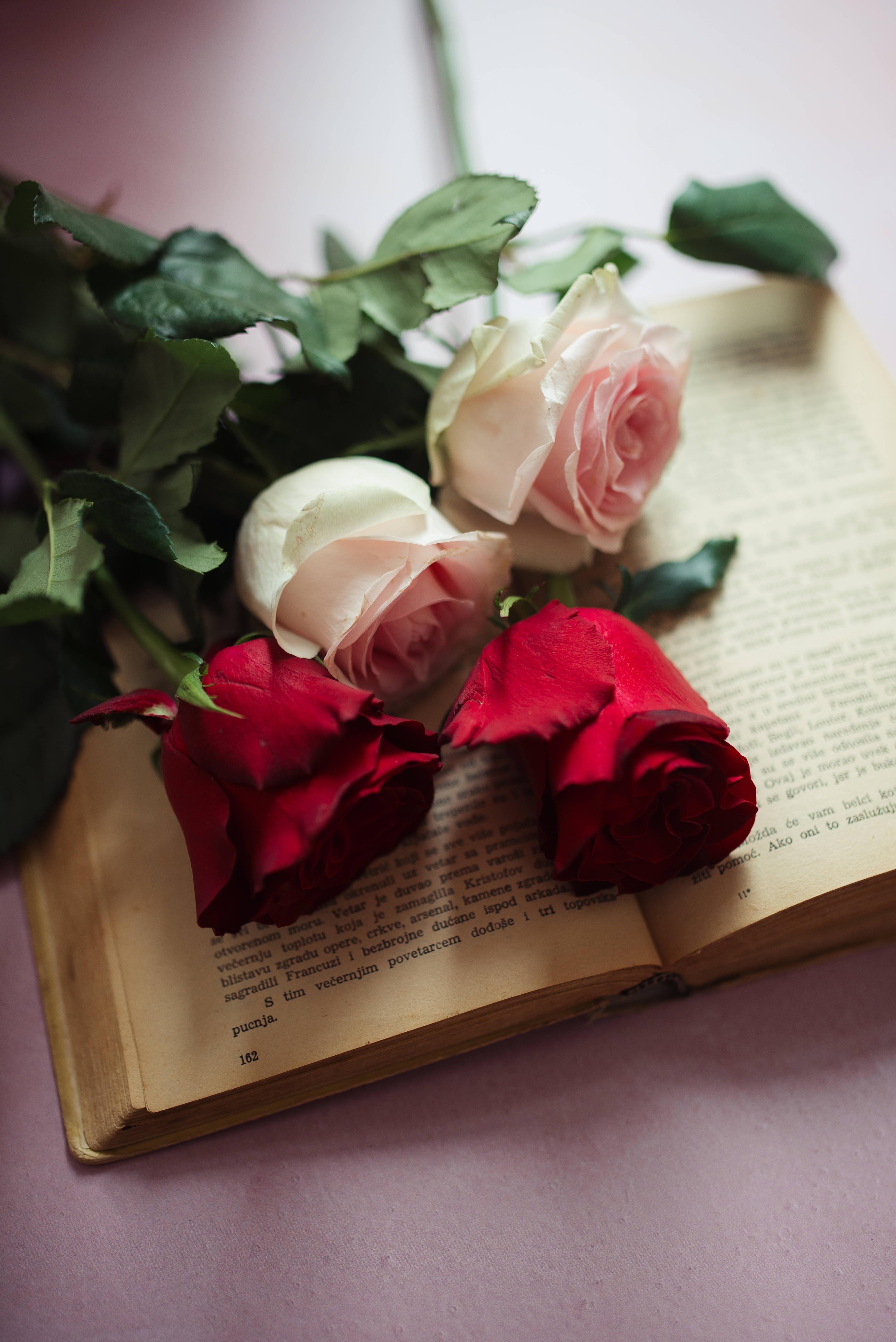 Flowers and Book Wallpapers - Top Free Flowers and Book Backgrounds ...