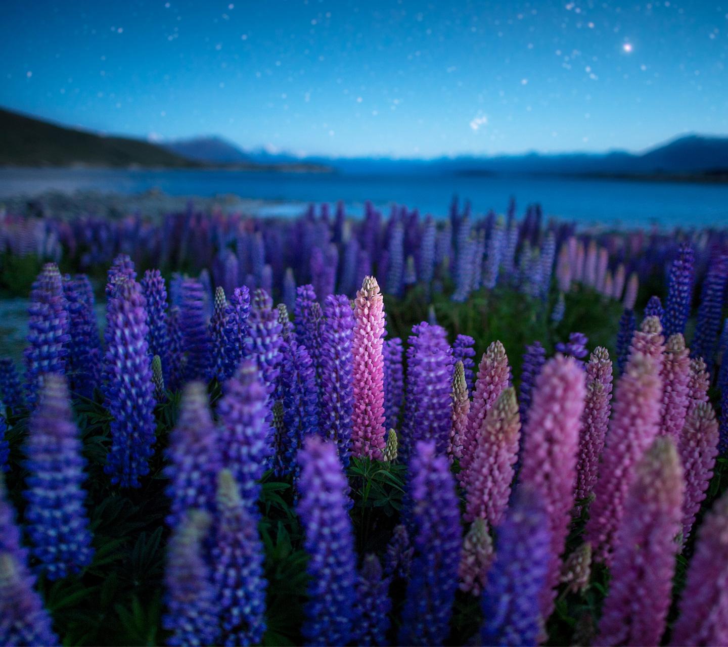 1440x1280 Download: DROID ULTRA Wallpaper