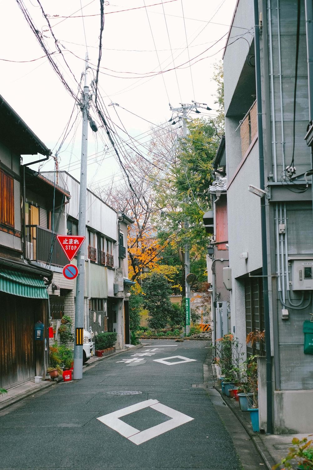 1000x1500 Japan best free japan, grey, wallpaper and city photo