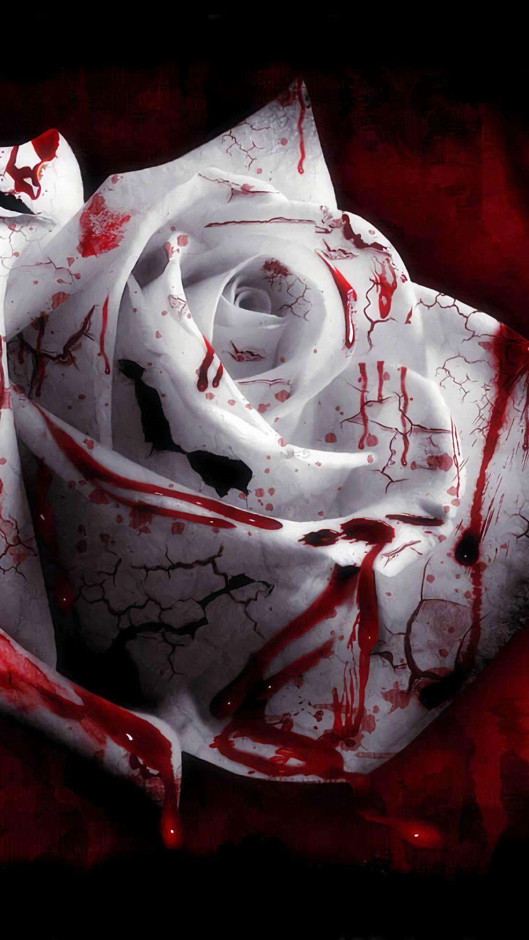 1080x1920 Bloody Rose Background