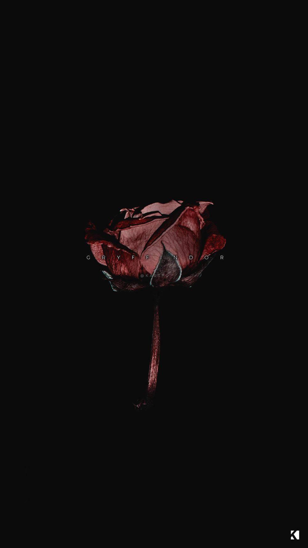 1000x1778 Download Dark Aesthetic Wallpaper