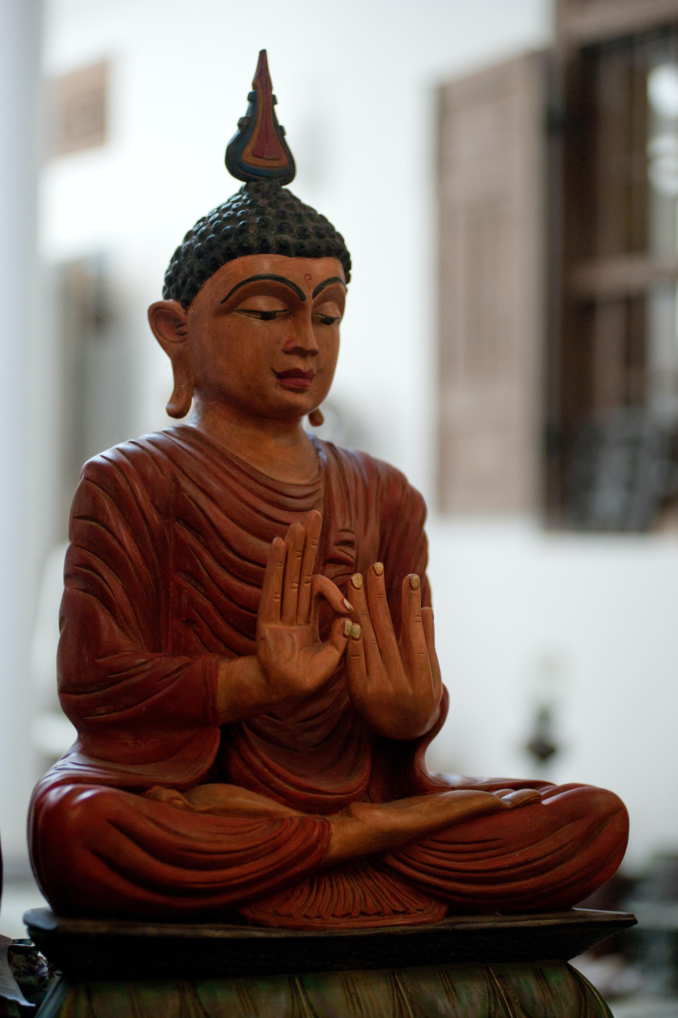 2832x4256 Buddhist Monk Photo, Download Free Buddhist Monk & HD Image