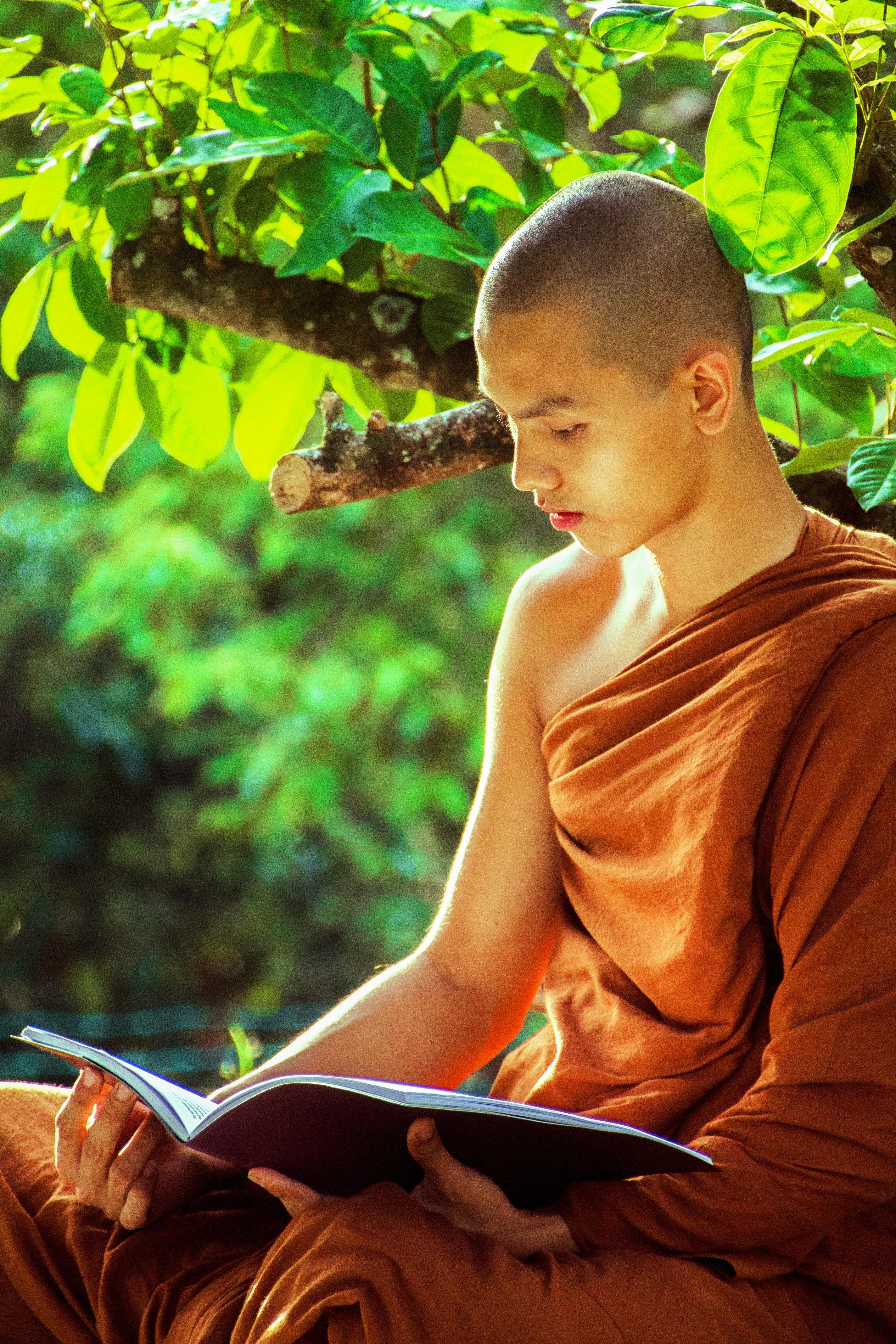 2848x4272 Buddhist Monk Photo, Download Free Buddhist Monk & HD Image