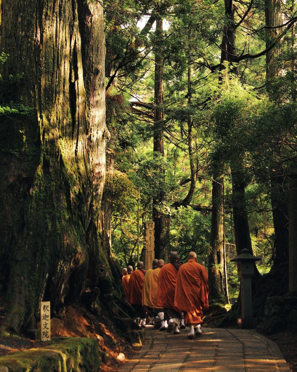 1000x1250 Buddhist Monk Picture. Download Free Image