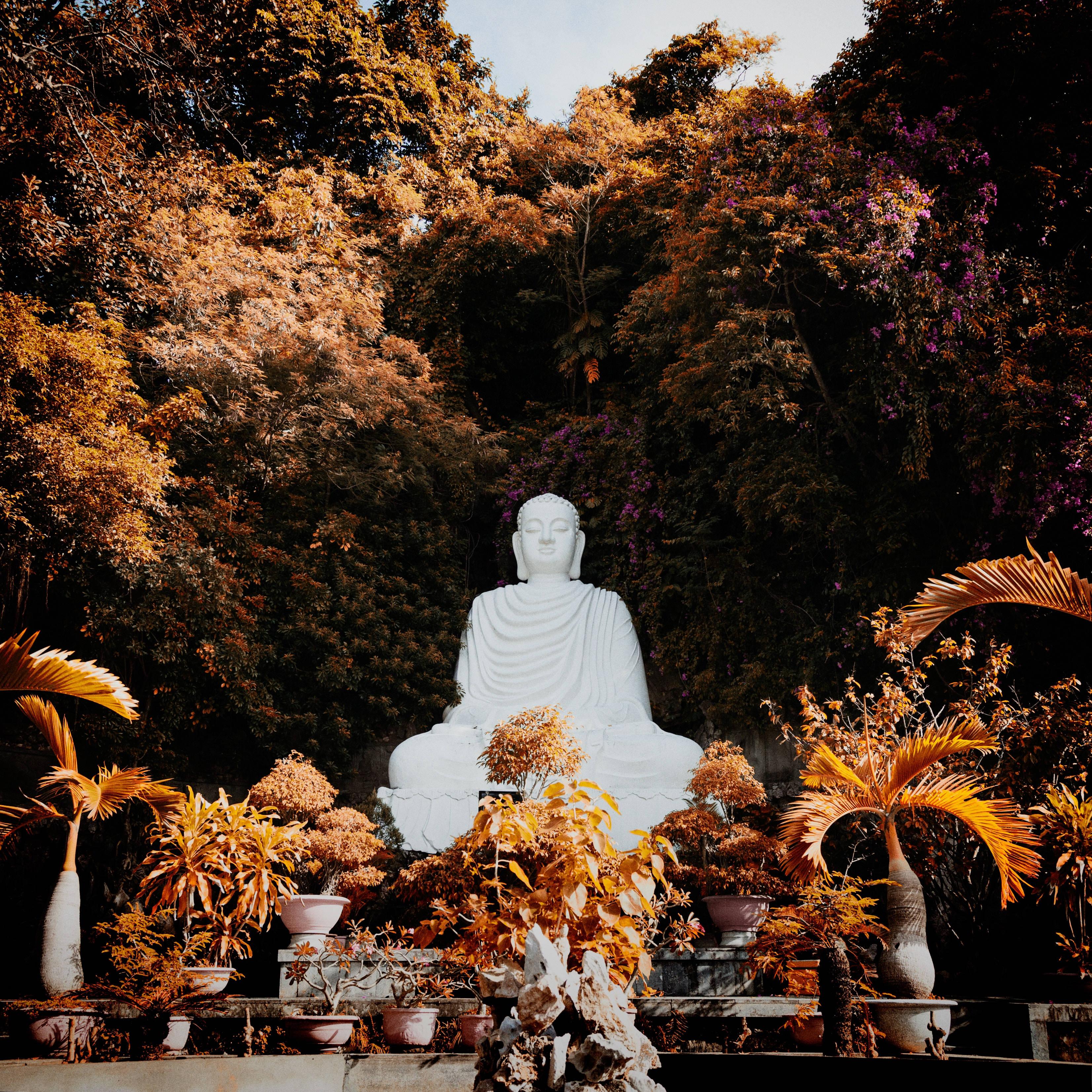 3305x3305 Download White Buddha Statue Plants Wallpaper