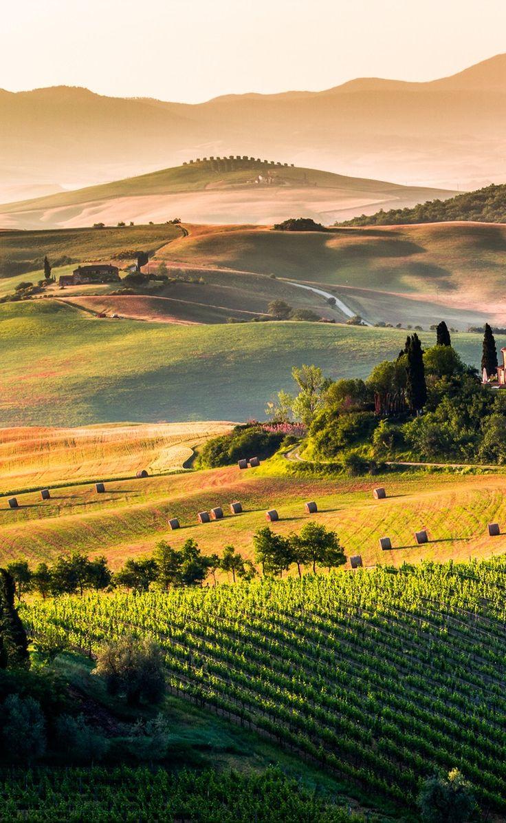 736x1195 The rolling hills of Tuscany. Italy. Tuscany landscape, Landscape photography, Beautiful landscapes