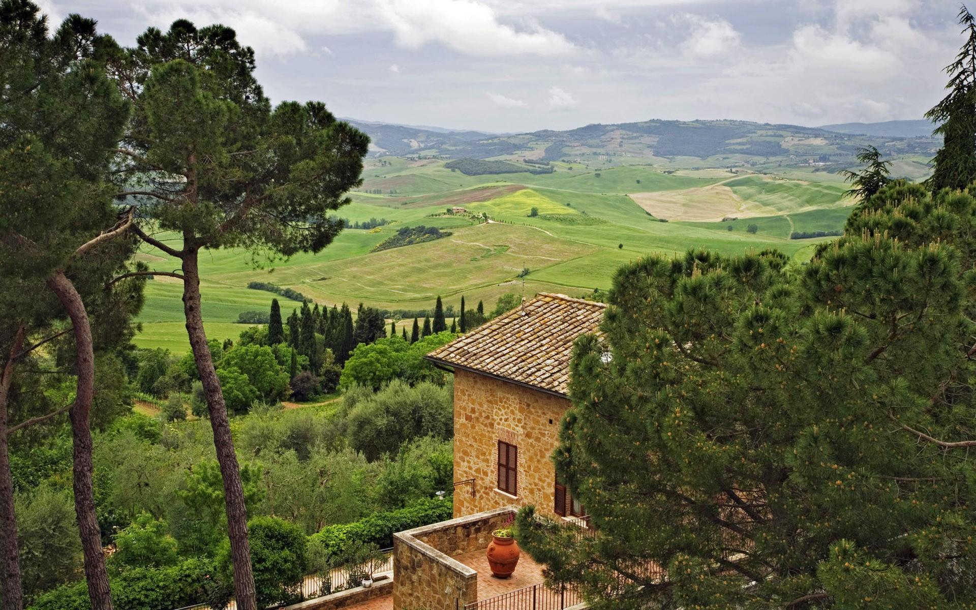 1920x1200 plants, Trees, Landscape, Tuscany, Italy Wallpaper HD / Desktop and Mobile Background